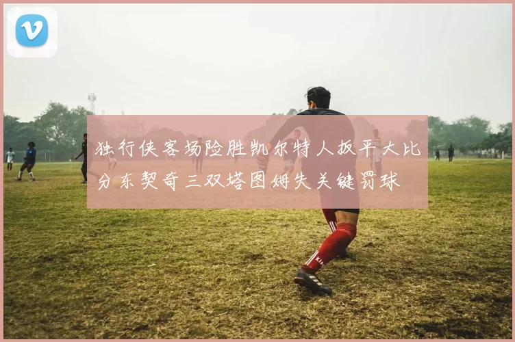 独行侠客场险胜凯尔特人扳平大比分东契奇三双塔图姆失关键罚球